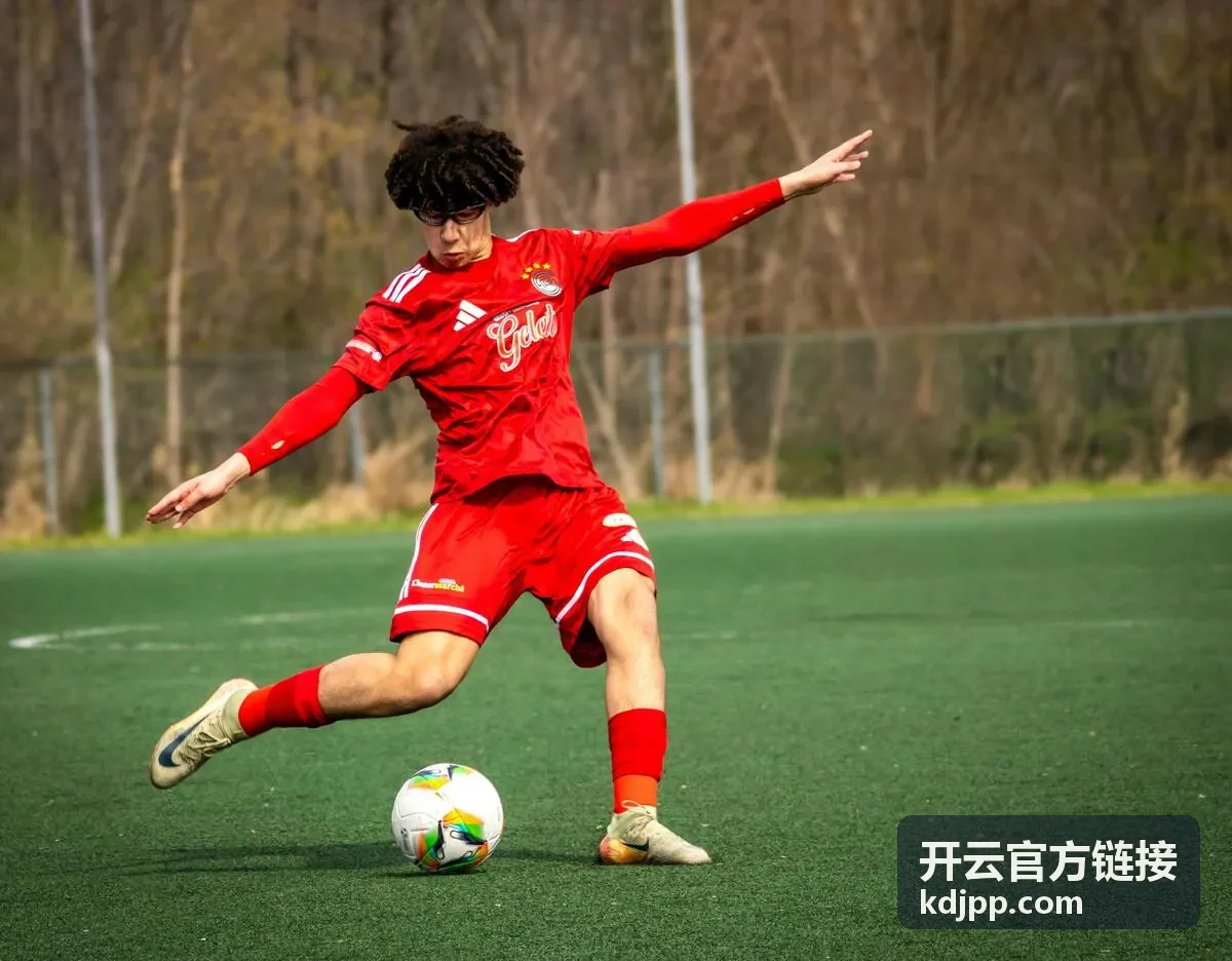 开云官方链接连接链路中节点与状态查看示意